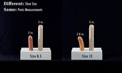 鞋子尺寸反應老二的尺寸？ 破除測量男性器官的迷思 鞋子尺寸、性器官、迷思、自信、大小