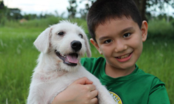 9歲男童成立《快樂動物俱樂部》幫狗狗找棲身之處 Happy Animals Club、菲律賓、男童、善心、收容所