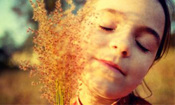 想要睡好覺也要選對色？挑選寢具指南 ibeauty、寢具、黃色、藍色