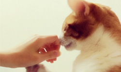 為什麼可以這麼多人追蹤？歸納Instagram玩家的6個技巧 Instagram、追蹤、玩家、照片、照相