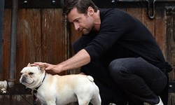 養貓男容易偷吃、養狗男容易被告白？！犬派vs.貓派大調查 犬派、貓派、養狗、養貓、告白