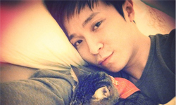 眼淚融化成血，化為脆弱蝴蝶...蘇打綠8首蝶之歌 青峯、蘇打綠、蝴蝶、歌詞、無與倫比的美麗