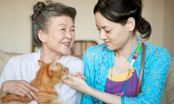 壓肉球最療癒了！讓人又笑又哭的小貓咪片單 可愛、貓咪、電影、心動奇蹟、日本