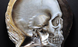 頭骨閃耀著珍珠光 骷顱頭扇貝雕刻 骷顱、扇貝、藝術、雕刻、菲律賓、 Gregory Raymond Halili