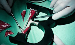 如果字母有生命？活生生血淋淋地肢解它！ 奧地利、藝術家、Andreas Scheiger、字母、生命、活生生、血淋淋、肢解