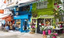 喚醒你的文青魂！香港深水埗品嚐美食、週邊景點走一回 香港、公共屋邨、美荷樓、香港NOHO區、香港POHO區