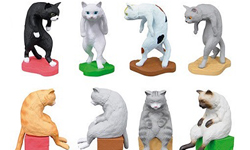 妳有貓背嗎？12款貓背扭蛋提醒你不要彎腰駝背    萬代、貓背、貓、扭蛋、駝背、可愛、辦公室小物、上班族、學生