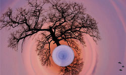 6/23限時免費App特輯：旋轉圖像App《Living Planet》 限免、免費、特價、iPhone、App