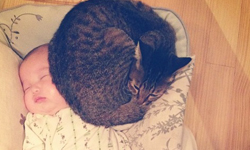 四小孩+兩隻貓=無限可愛！網路人氣家庭溫馨大放送 Makicocomo、instagram、網路、人氣、家庭