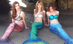 還記得鍾麗緹的人魚傳說嗎？眾女星化身美人魚一起Under The Sea    美人魚、夢幻、Mermaids、凡妮莎哈金斯、Vanessa Hudgens、貝拉索恩、Bella Thorne、派瑞絲希爾頓、Paris Hilton、凱蒂佩芮、Katy Perry、安娜坎卓克、Anna Kendrick、卡拉迪樂芬妮、Cara Delevingne、Lady Gaga、瑪麗亞凱莉、Mariah Carey、伊娃曼德斯、Eva Mendes、茱莉安摩爾、Julianne Moore、鍾麗緹