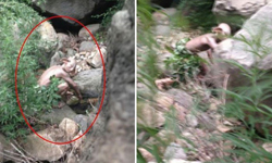 野生的咕嚕出沒長城！怪物真面目竟然是… 咕嚕、魔戒、哈利波特、家庭小精靈、多比