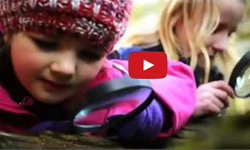 道路安全短片超不安全！遭禁播的殘酷60秒 兒童、小孩、殘酷、殘忍、慘案