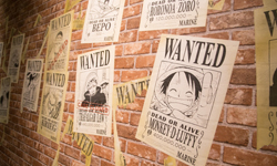 一起跟魯夫航向偉大航道！日本原汁原味來台ONE PIECE特展搶先看 海賊王、航海王、台灣、ONE PIECE、尾田榮一郎