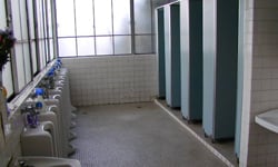 「不要隨便數樓梯有幾階，否則……」日本七大不可思議校園傳說 假鬼假怪、校園、傳說、怪談、鬼故事