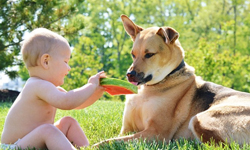 從出生的第一天就陪在你身邊！狗狗與小男孩可愛動人的麻吉友情 Toby、Carter、Instagram、狗狗、小男孩