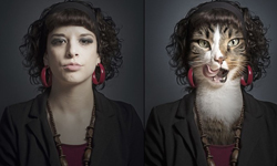 你是哪一種貓咪？貓奴們與愛貓的超級比一比 UnderCats、Sebastian Magnani、貓、相似度、可愛、主人、貓奴、攝影、Photoshop