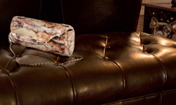 為什麼狗愛啃鞋和包？牠們眼中的世界可能有點獵奇… 狗、鞋、包、啃、鞋子