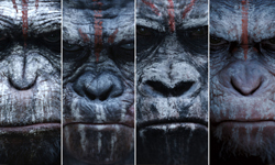 7/16-7/18首輪新片：人猿的反撲《猩球崛起：黎明的進擊》vs. 美艷外星人的誘惑《肌膚之侵》！ 電影、湯姆在農莊、肌膚之侵、白雪公主殺人事件、龍虎少年隊:童顏巨捕、不如跳舞