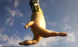 餐盤裡的花椰菜會比讚！長得稀奇又會擺pose的蔬果上架囉 奇怪、有事、蔬菜、水果、茄子