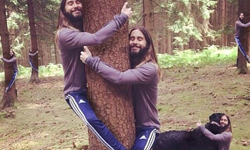 傑瑞李圖抱樹幹？搞笑P圖特輯本人也說讚 傑瑞李圖、抱樹、網友、惡搞、p圖