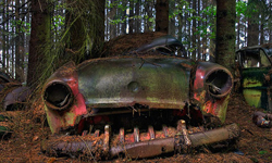 車禍一撞就是70年？探索神秘的比利時「汽車墓地」 比利時、Chatillon、叢林、廢墟、汽車