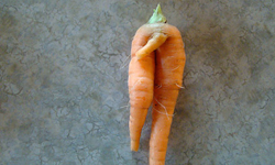 只要有心到處都是「小弟弟」！潛藏日常生活中的類陽具 害羞、小弟弟、男性、生殖器、用心