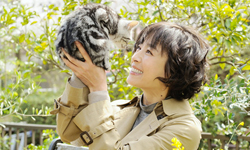 溫馨喵咪電影《咕咕貓》拍電視劇 宮澤理惠接棒飾演寂寞漫畫家 咕咕貓、電影、日劇、宮澤理惠、黑木華