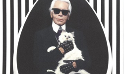 毛小孩也能代言彩妝！？5個證據證明老佛爺的貓即將稱霸全球 Choupette Lagerfeld、Karl Lagerfeld、時尚、貓咪、生活、彩妝、攝影