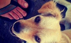 妞快報：Instagram 4歲啦！最初上傳的第一張照片長這樣？ 妞快報、instagram、自拍、寵物、Kevin Systrom