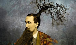 清醒點，童話可不只美好結局！結合古典與獵奇的超現實攝影 Maggie Taylor、攝影、超現實、童話、夢境、想像、殘酷、愛麗絲