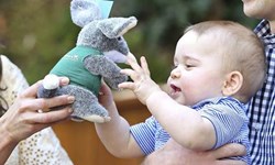 未來皇室新男神？你不可錯過的小喬治10個超可愛時刻 小喬治、喬治、喬治王子、皇室、生日