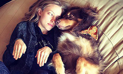 亞曼達跟牧羊犬超有愛！5位女星與她們的萌寵物 亞曼達塞弗瑞、泰勒絲、凱蒂佩芮、麥莉、蕾頓米斯特