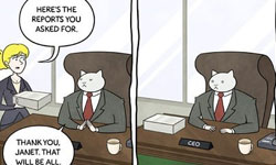 你就是我的屬下！10張圖帶你認識貓總裁的一天 貓、漫畫、總裁、CEO