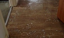 受精完立刻受驚？新婚夫妻家中水管爆裂、屎尿滿屋飛 新婚、蜜月、新婚夫妻、水管、爆裂