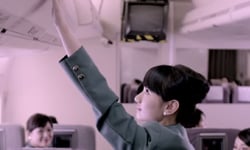 女孩們的夢幻職業還依然是空姐嗎？那些空姐不為人知的辛酸 女孩、夢幻職業、空姐、光鮮亮麗、辛酸