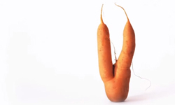 我很醜但我很可口！醜陋蔬果搖身一變搶手貨 蔬果、醜陋、畸形、滯銷、推廣