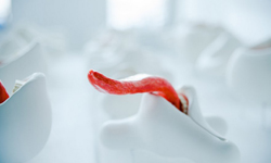 血盆大口的另類魅力！如果英文字母全面口腔化... 英文字母、藝術、3D、口腔、牙齒