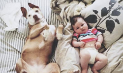 因為能讓你更有耐心？生小孩前先養過狗狗的10個好處 狗、動物、小孩、耐心、理由、責任、才能、教育、寵物、可愛、主人、互動、飼養、訓練、飼主