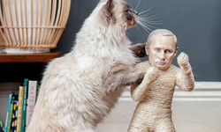 堂堂一國之君被呼巴掌？被惡搞成貓抓板的金正恩與普丁 貓貓、貓抓板、玩具、練拳沙包、金正恩