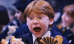 腳軟手抖尿亂飆！乘客受困高空故障雲霄飛車 遊樂園、雲霄飛車、驚魂、傻眼、嚇破膽、皮皮剉、意外、高空