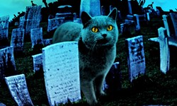 埋葬愛犬只為盼到牠復活歸來？歡迎光臨百年寵物墓園 寵物墓園、寵物公墓、寵物墳場、史蒂芬金、埋葬