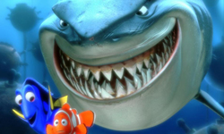 居然活生生把鯊魚吞了！加州巨魚的真面目是…？ 鯊魚、Bonita Springs、Florida、巨魚、捕魚