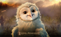 8月27日 電視看甚麼：想讓貓頭鷹當守護神嗎？ 電視、節目表、電視節目表、電影、HBO、2014