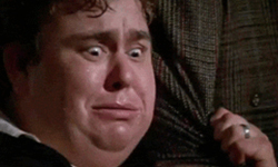 死不瞑目反咬人　廚師遭斷頭眼鏡蛇咬死 眼鏡蛇、復仇、斷頭、偷襲、致死、毒液、廚師、廣東