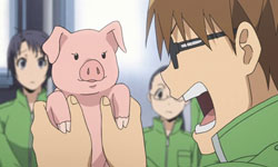 再見了豬丼！體驗畜牧辛勞的《養豬場》養成遊戲 養豬場、豬丼、八軒、銀之匙、