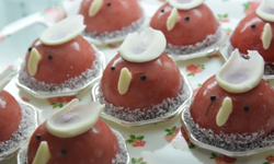 不成為鳥奴也很難！讓22隻鳥兒化身咖啡店的可愛店員陪你療癒身心 日本、咖啡廳、鳥、療癒、可愛