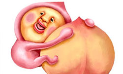 你說好用就好用？醜比頭LINE新貼圖還算好用篇上架！ 醜比頭、LINE、貼圖、還算好用