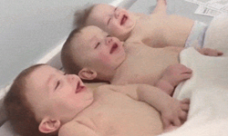 三種笑點一次給你！笑點超低的寶寶用大笑療癒你心 寶寶、小孩、兒童、萌、三胞胎