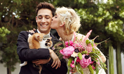 貓奴們夢寐以求的婚禮！在9隻小貓見證下完成終身大事 結婚、貓奴、寵物、美國、婚紗、可愛、療癒、貓咪、婚禮、Kiera、Zach、Second Hand Souls