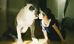 可愛滿分，感人滿分！小貞子的溫馨成長記錄 Mayu、石川祐樹、Yuki Ishikawa、Butterfly Heart、小貞子、攝影集、藝術